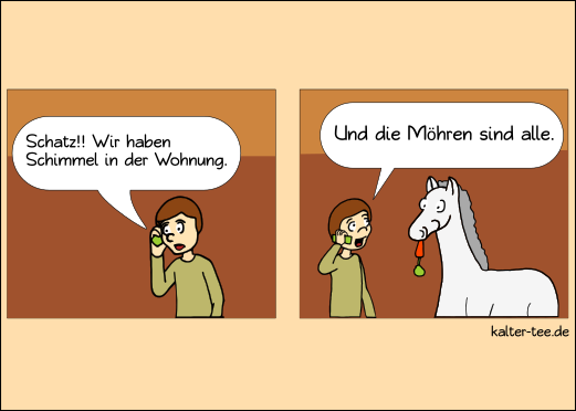 Schimmel in der Wohnung