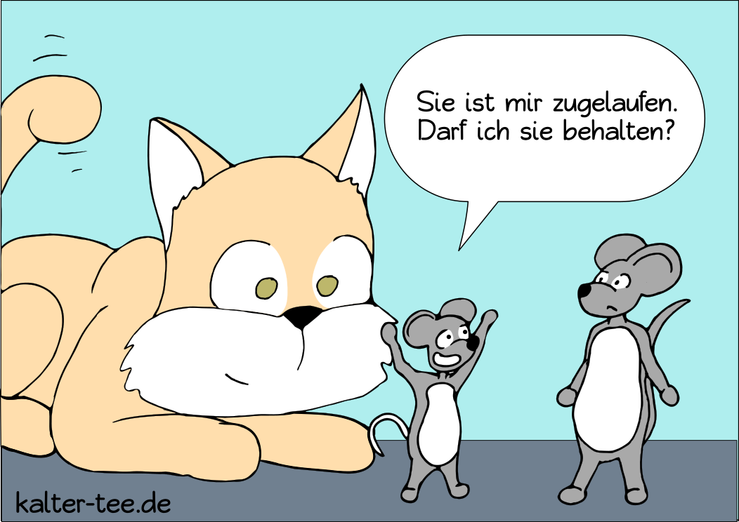 Katze zugelaufen